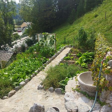 Natur Apartma Rudi Бегунє-на-Горенськем Екстер'єр фото