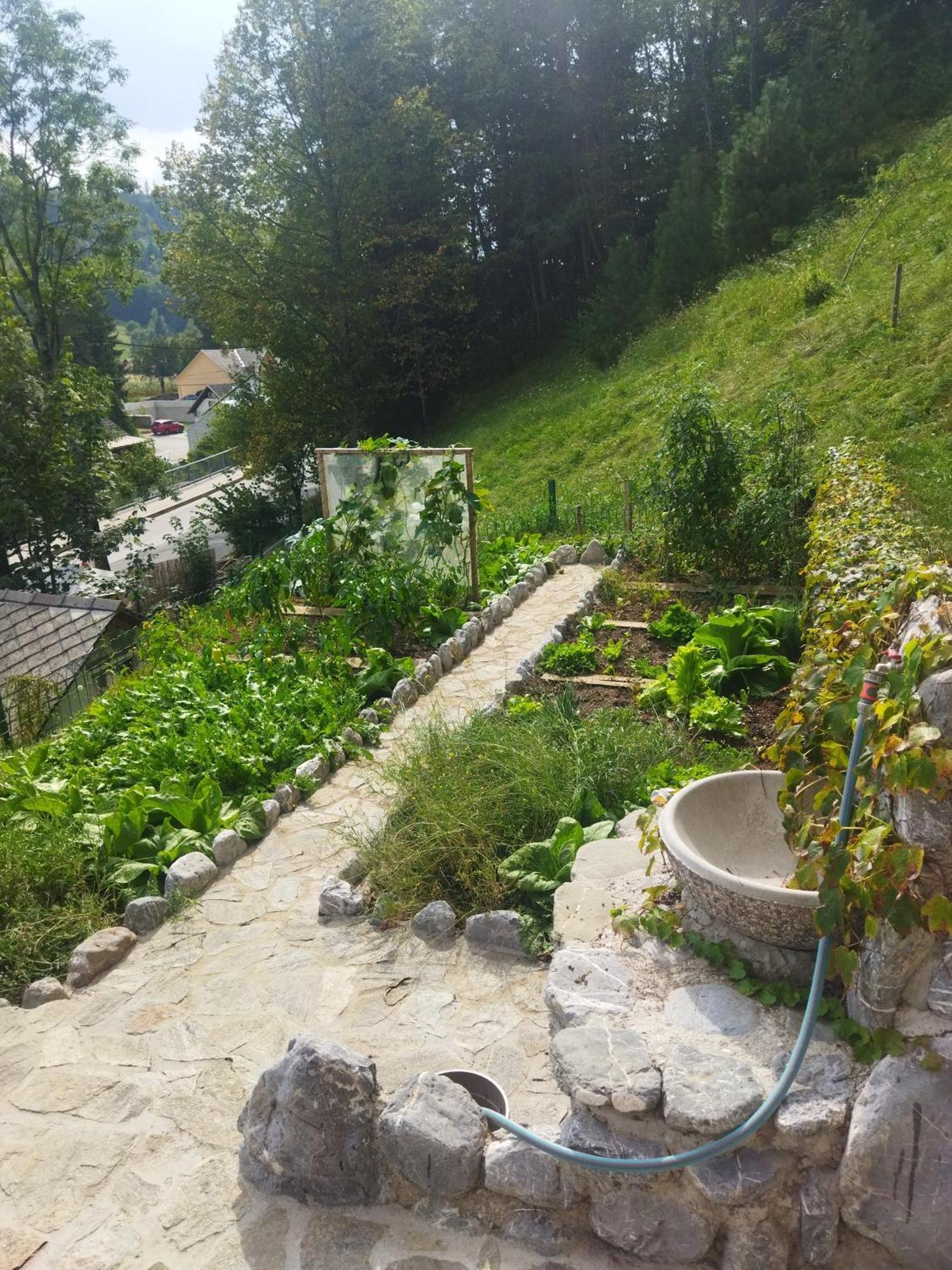 Natur Apartma Rudi Бегунє-на-Горенськем Екстер'єр фото